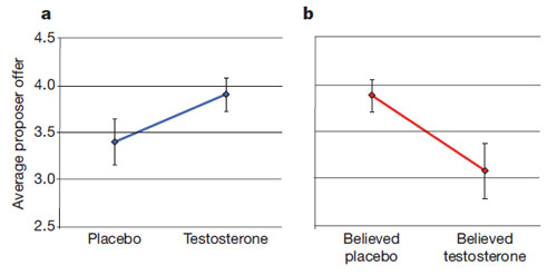 Testosterone belief.jpg